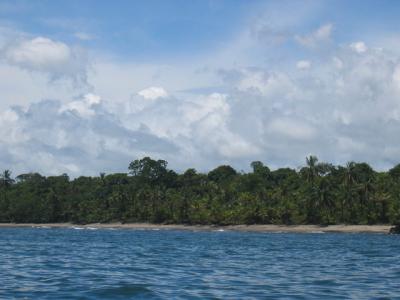 6%20Hectares%20of%20Rainforest%20with%2050%20Meters%20Caribbean%20Beachfront