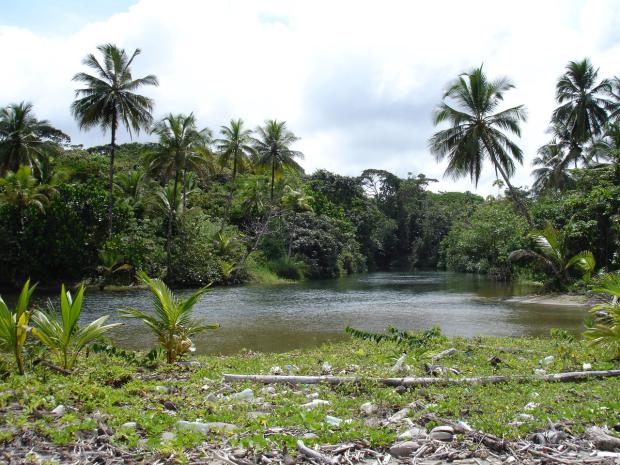 6 Hectares of Rainforest with 50 Meters Caribbean Beachfront