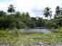6 Hectares of Rainforest with 50 Meters Caribbean Beachfront