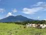 11000 acres hacienda in Guanacaste