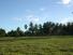 CHIRIQUI, DISTRICT OF REMEDIOS, ISLAND OF 14 HECTARES (34.5 ACRES).