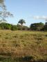 CHIRIQUI, DISTRICT OF REMEDIOS, ISLAND OF 14 HECTARES (34.5 ACRES).