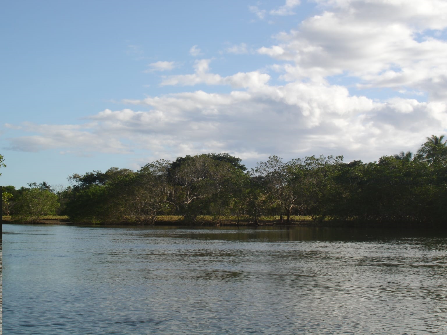 CHIRIQUI, DISTRICT OF REMEDIOS, ISLAND OF 14 HECTARES (34.5 ACRES).