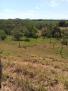 CHIRIQUI, DISTRITO DE DAVID, FINCA UBICADA EN LAS LOMAS.