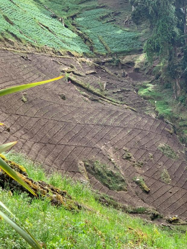 CHIRIQUI, DISTRICT OF TIERRAS ALTAS, LAND LOCATED IN LAS CUMBRES, CERRO PUNTA.