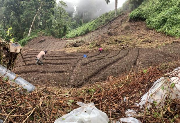 CHIRIQUI, DISTRICT OF TIERRAS ALTAS, LAND LOCATED IN LAS CUMBRES, CERRO PUNTA.