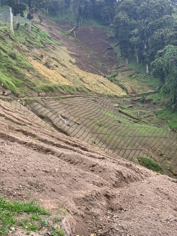 CHIRIQUI, DISTRICT OF TIERRAS ALTAS, LAND LOCATED IN LAS CUMBRES, CERRO PUNTA.