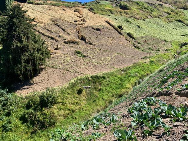 CHIRIQUI, DISTRICT OF TIERRAS ALTAS, LAND LOCATED IN LAS CUMBRES, CERRO PUNTA.