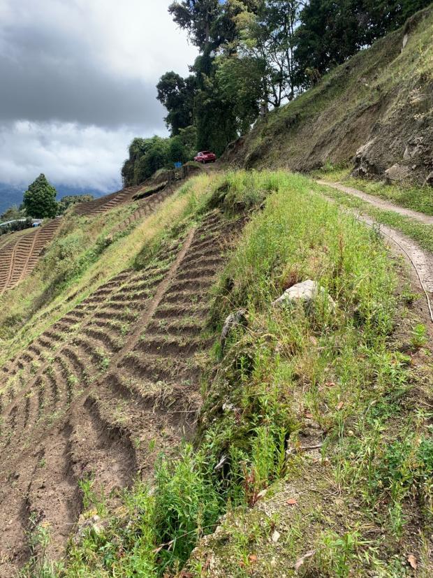 CHIRIQUI, DISTRICT OF TIERRAS ALTAS, LAND LOCATED IN LAS CUMBRES, CERRO PUNTA.