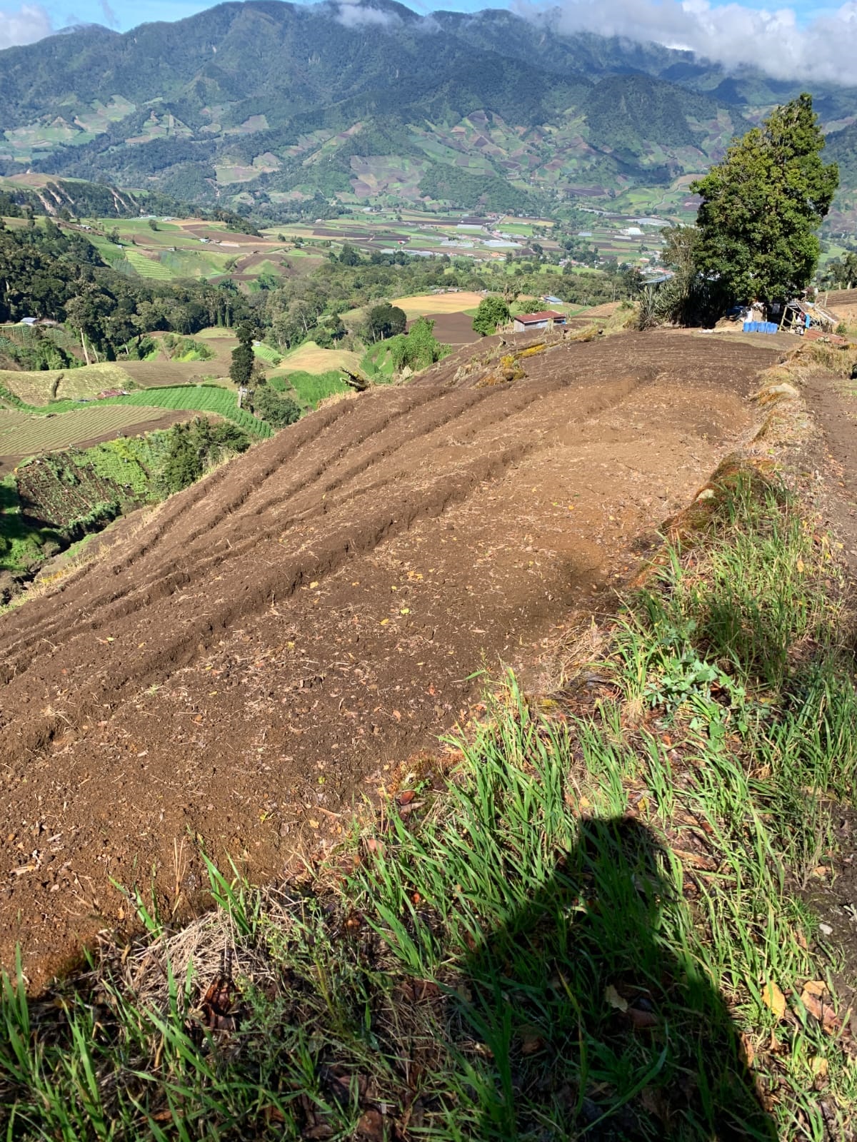 CHIRIQUI, DISTRICT OF TIERRAS ALTAS, LAND LOCATED IN LAS CUMBRES, CERRO PUNTA.