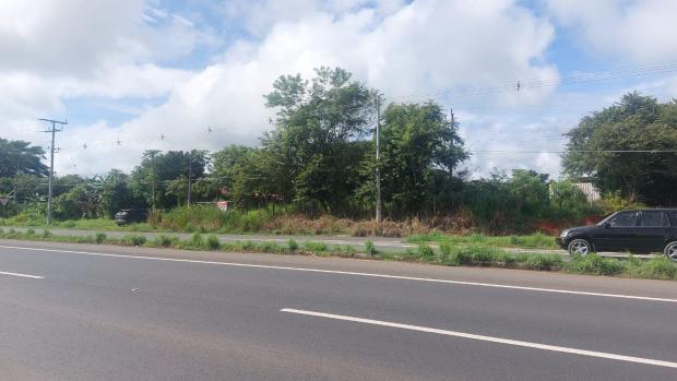VERAGUAS, SANTIAGO, LAND LOCATED IN THE COMMUNITY OF LA FRAGUA, SAN PEDRO DEL ESPINO.