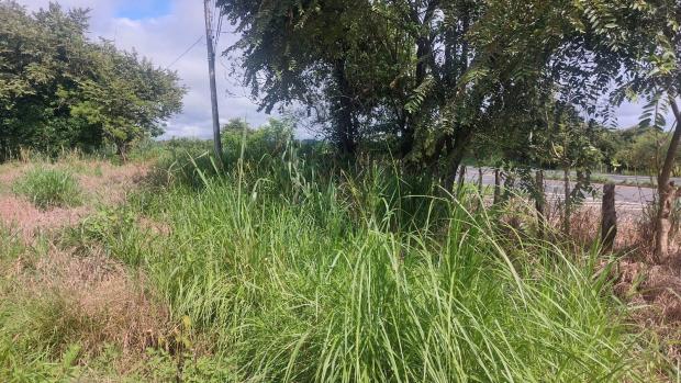 VERAGUAS, SANTIAGO, LAND LOCATED IN THE COMMUNITY OF LA FRAGUA, SAN PEDRO DEL ESPINO.