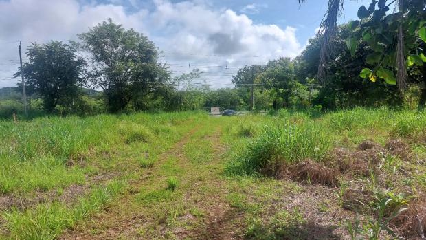 VERAGUAS, SANTIAGO, LAND LOCATED IN THE COMMUNITY OF LA FRAGUA, SAN PEDRO DEL ESPINO.