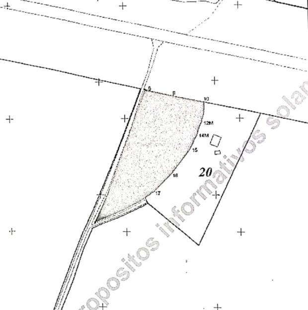 VERAGUAS, SANTIAGO, LAND LOCATED IN THE COMMUNITY OF LA FRAGUA, SAN PEDRO DEL ESPINO.