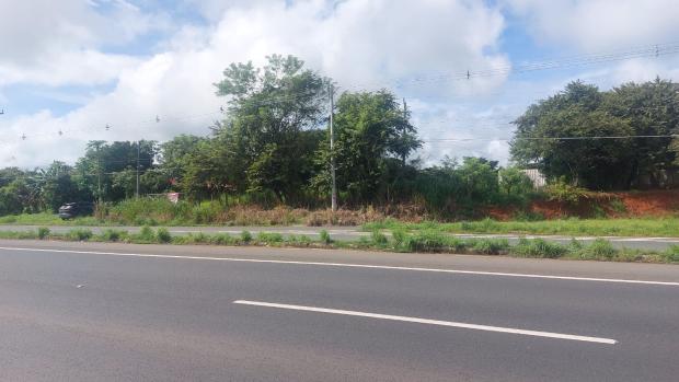 VERAGUAS, SANTIAGO, LAND LOCATED IN THE COMMUNITY OF LA FRAGUA, SAN PEDRO DEL ESPINO.