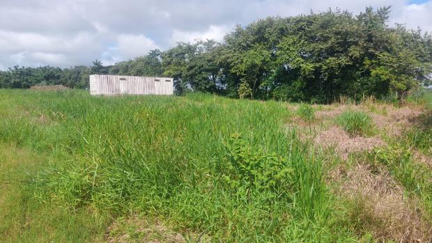 VERAGUAS, SANTIAGO, LAND LOCATED IN THE COMMUNITY OF LA FRAGUA, SAN PEDRO DEL ESPINO.
