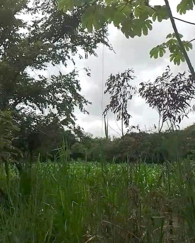 COCLE, ANTON, PROPIEDAD UBICADA EN JUAN HOMBRON, EL CHIRU.