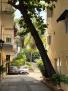 2 bedroom, Cartagena Old city hidden gem