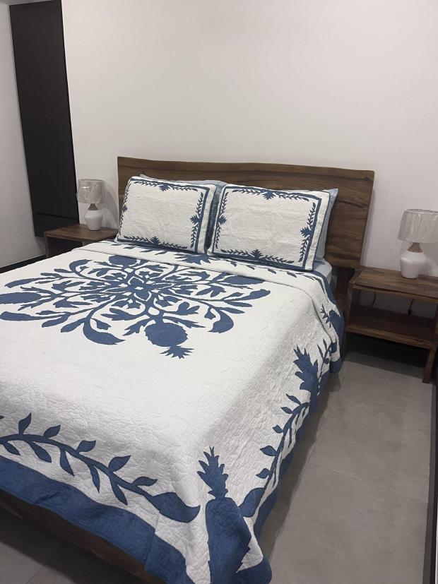 Beautiful 3 bedroom, 3 bath brand new home plus casita- Tamarindo