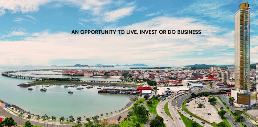 THE LABEL BY LOFT ART