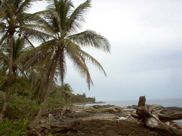 BEACH FRONT PRIVATE CARIBBEAN  COVE, COCLE DEL NORTE, PANAMA