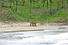 BEACH FRONT PRIVATE CARIBBEAN  COVE, COCLE DEL NORTE, PANAMA