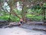 BEACH FRONT PRIVATE CARIBBEAN  COVE, COCLE DEL NORTE, PANAMA