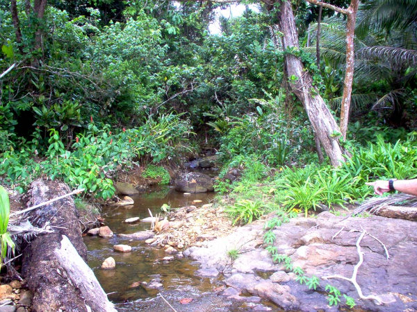 BEACH FRONT PRIVATE CARIBBEAN  COVE, COCLE DEL NORTE, PANAMA