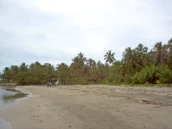 BEACH FRONT PRIVATE CARIBBEAN  COVE, COCLE DEL NORTE, PANAMA