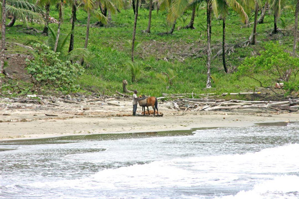 BEACH FRONT PRIVATE CARIBBEAN  COVE, COCLE DEL NORTE, PANAMA