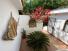 BEACHFRONT HOUSE MANCORA 4BED 3BATH WITH TERRACE POOL FOR SALE