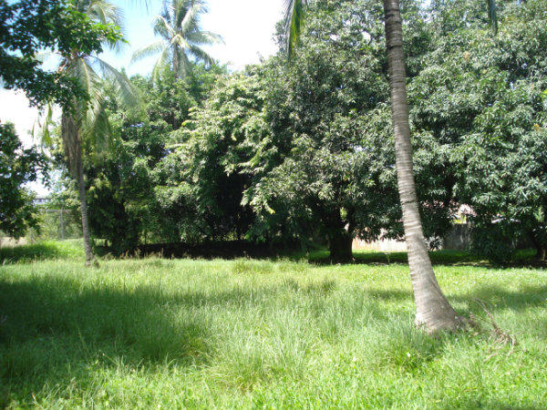 PROPERTY FOR SALE, AMADOR HEIGHTS, PANAMA