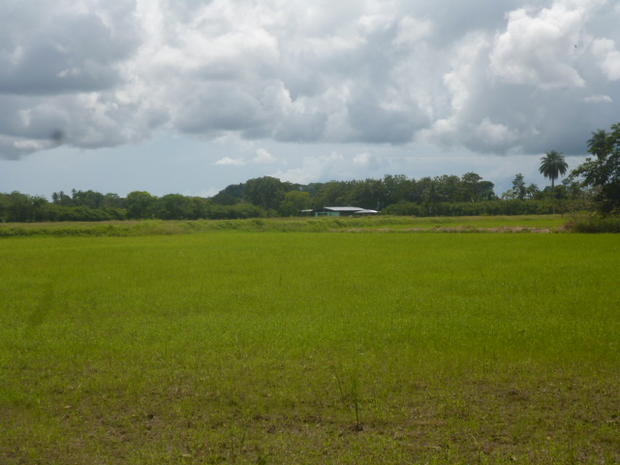 CHIRIQUI BUGABA TURN KEY OPERATION FARM