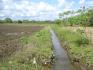 CHIRIQUI BUGABA TURN KEY OPERATION FARM