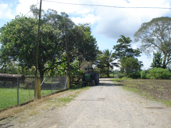 CHIRIQUI BUGABA TURN KEY OPERATION FARM