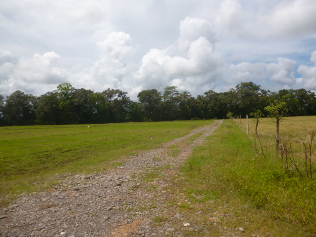 CHIRIQUI BUGABA TURN KEY OPERATION FARM