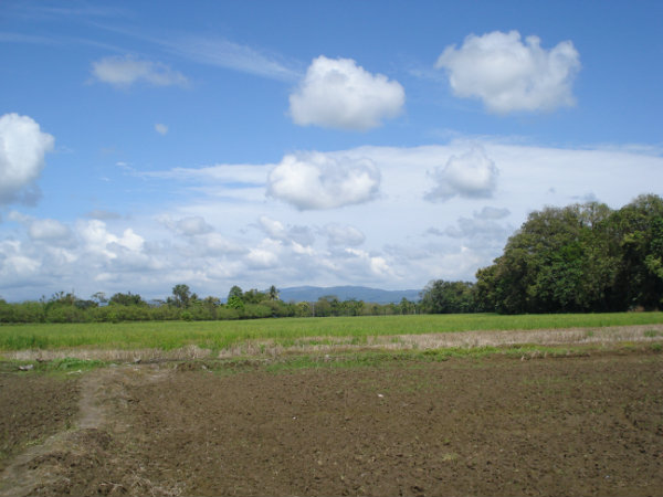 CHIRIQUI BUGABA TURN KEY OPERATION FARM