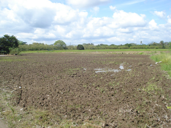 CHIRIQUI BUGABA TURN KEY OPERATION FARM