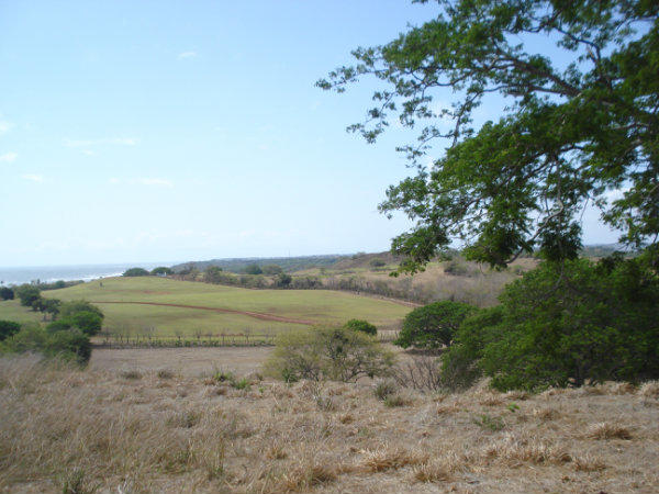 FARM WITH OCEAN VIEW, FOR SALE, PUNTA COCOS