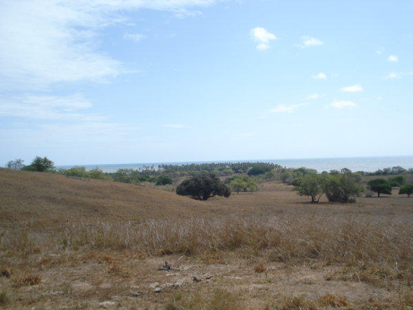 FARM WITH OCEAN VIEW, FOR SALE