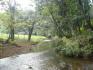 FARM, FOR SALE, CANITAS DE CHEPO, PANAMA, 290 HECTARES, MOUNTAIN VIEW