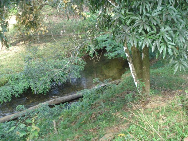 FINCA LA HERRADURA, CANITAS DE CHEPO, PANAMA, COUNTRYSIDE FARM, FOR SALE