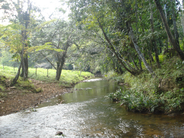 FARM, FOR SALE, CANITAS DE CHEPO, PANAMA, 290 HECTARES, MOUNTAIN VIEW