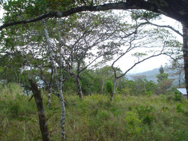 Cerro Azul 3 hectareas para la venta.